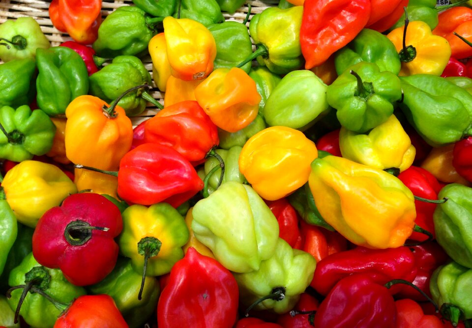 Peppers market west indies