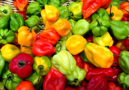 Peppers market west indies