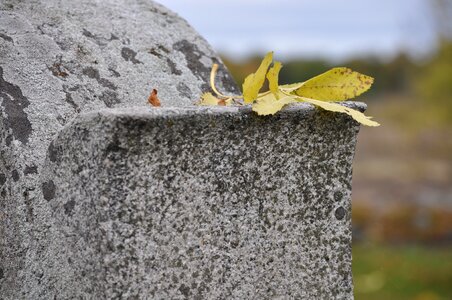 Headstone cemetery tomb