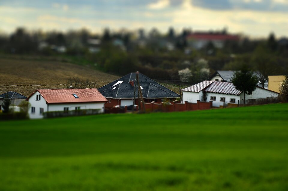 Grass home landscape