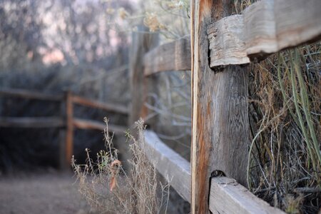 Path rustic gray path