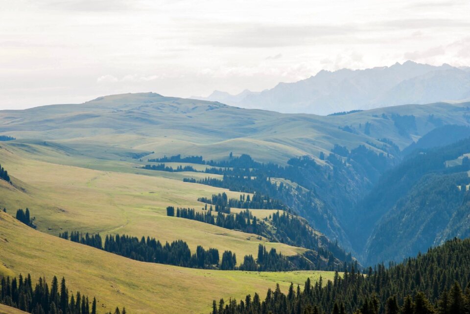 Mountain landscape forest nature