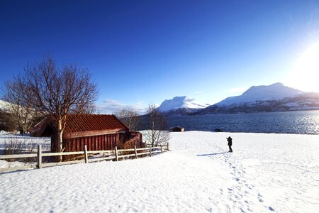 The scenery winter lake photo