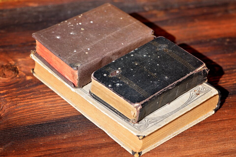 Old books antique used