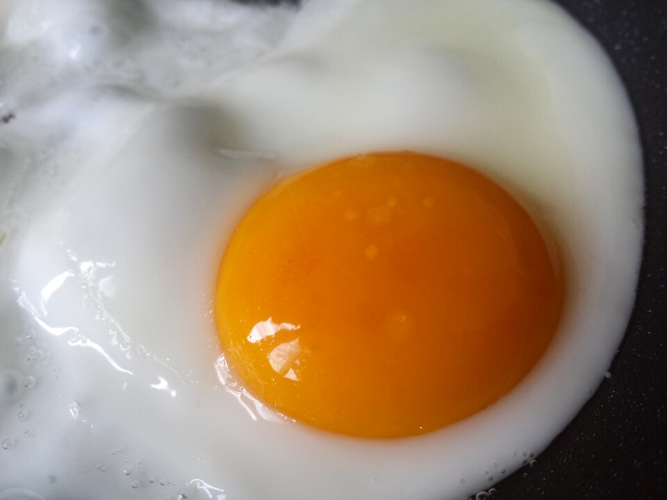 Breakfast meal yellow photo