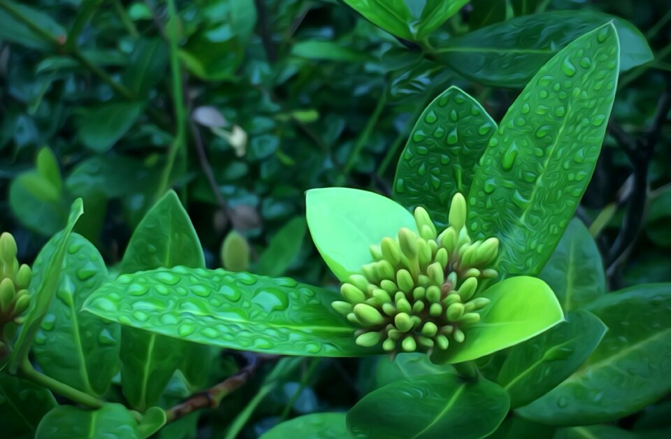Green floral summer