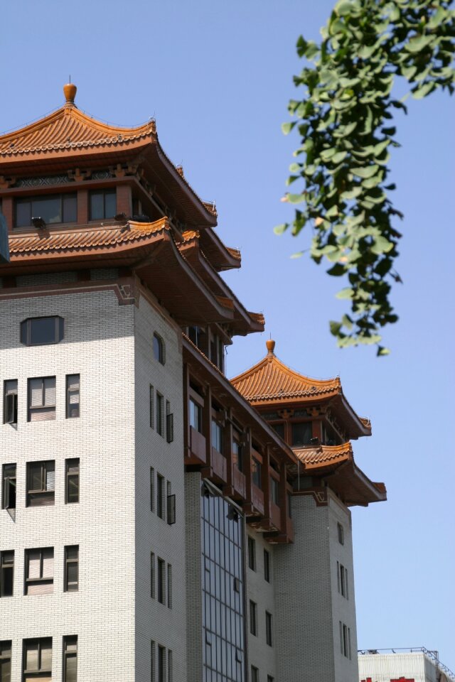 Modern architecture building
