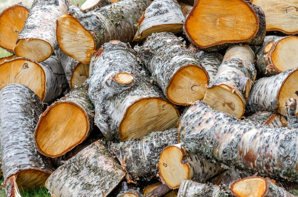 Material cut woodpile