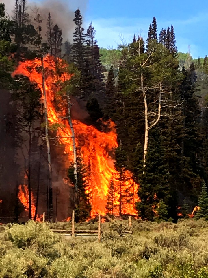 Prescribed burn at Manning Creek