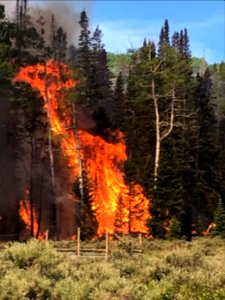 Prescribed burn at Manning Creek