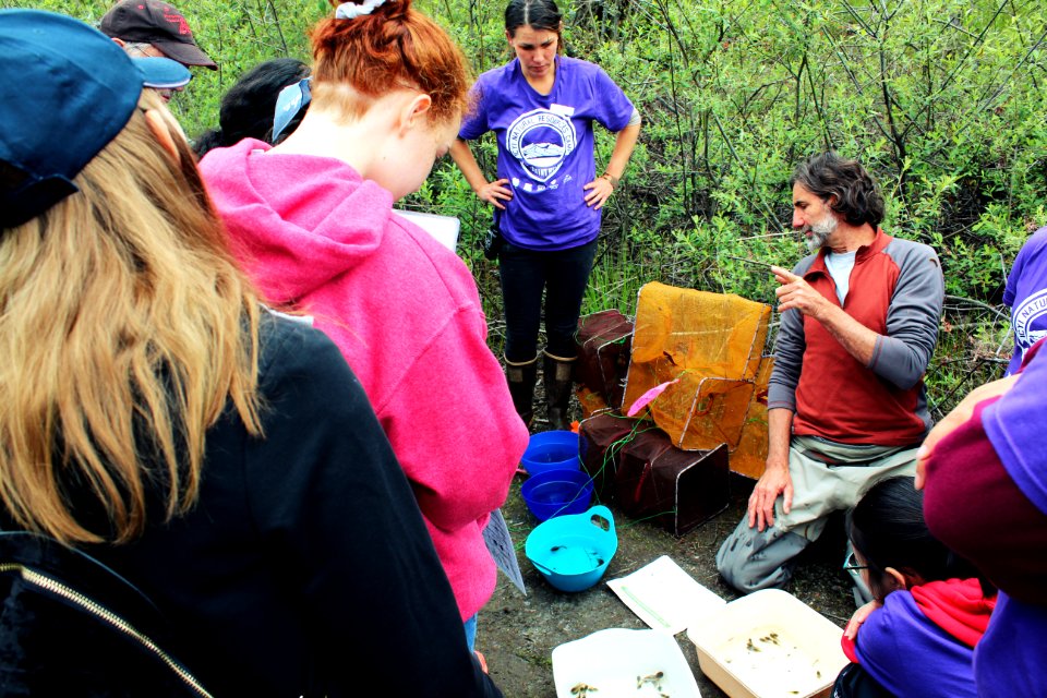 U.S. Forest Service Researcher Chrales Cristafulli presenting the aquatic creatures of the ponds at Mount St. Helens