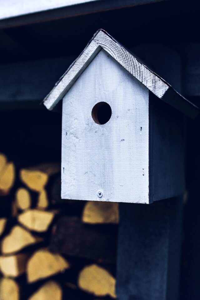 Grey wood wooden