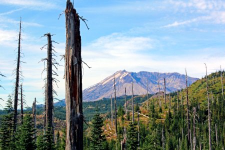 Mount St. Helens