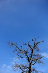 DSC03196