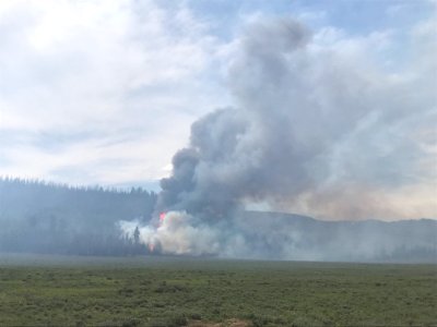 Prescribed burn at Manning Creek