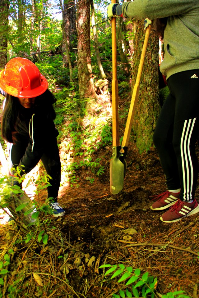 Restoration of trails at French's Dome