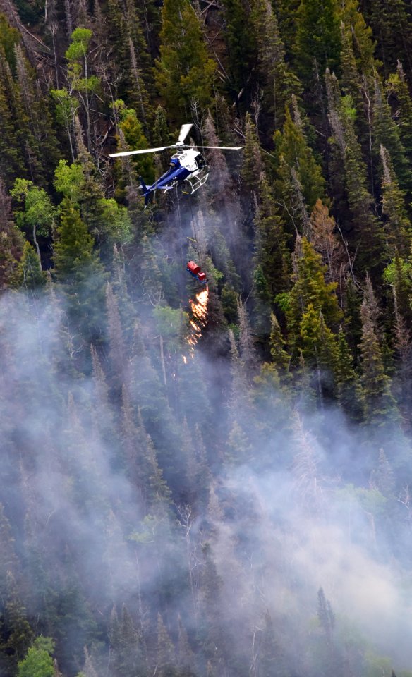 Prescribed burn at Manning Creek