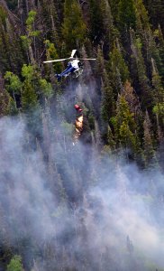 Prescribed burn at Manning Creek
