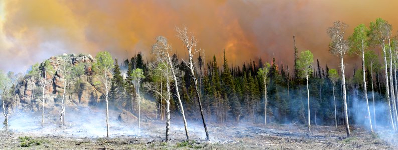 Prescribed burn at Manning Creek