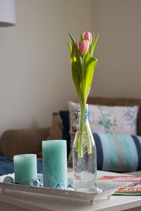 Candlestick vase candle photo
