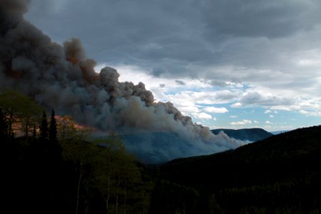 Prescribed burn at Manning Creek