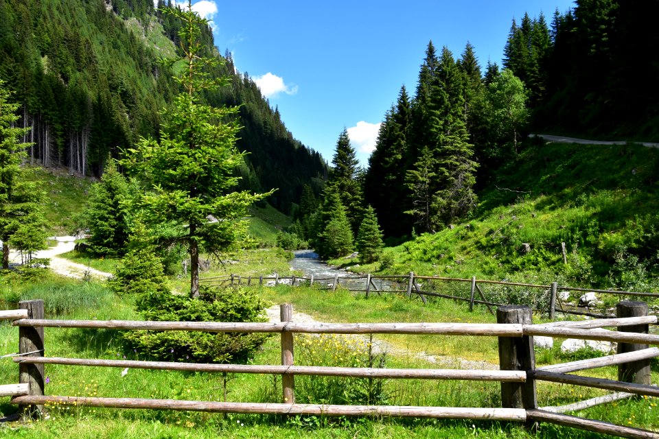 StMichael 2018 06 023