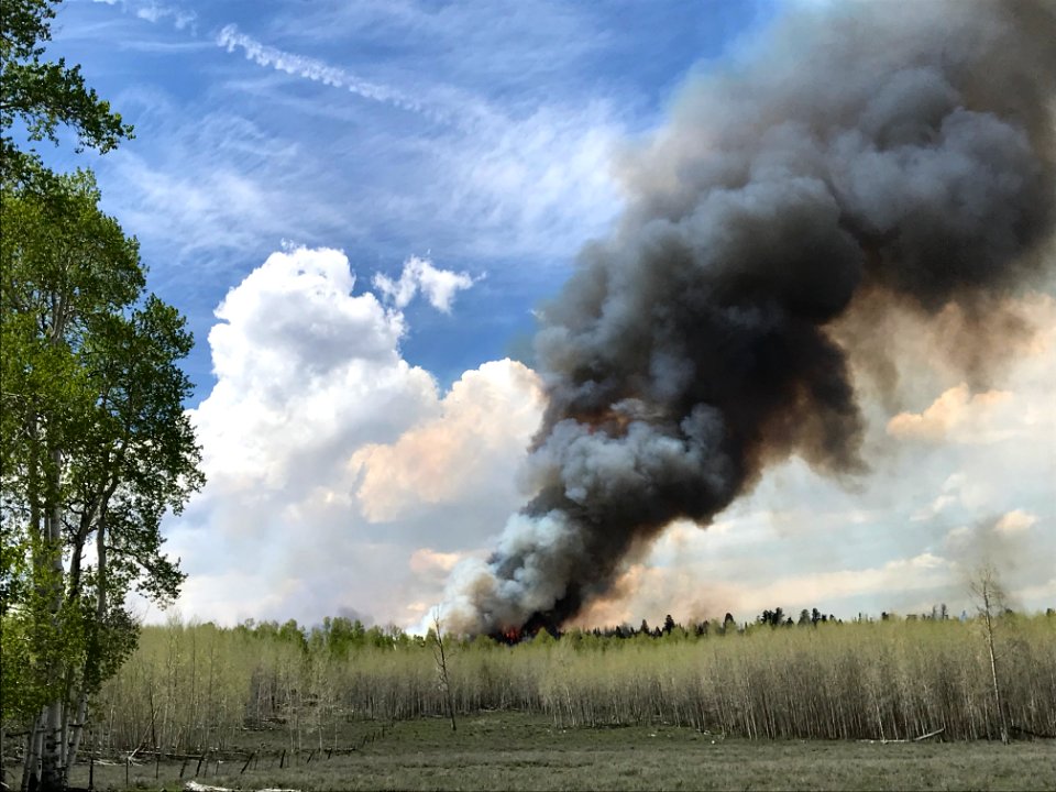 Prescribed burn at Manning Creek
