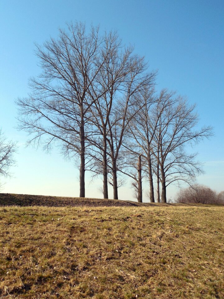 Sky aesthetic landscape