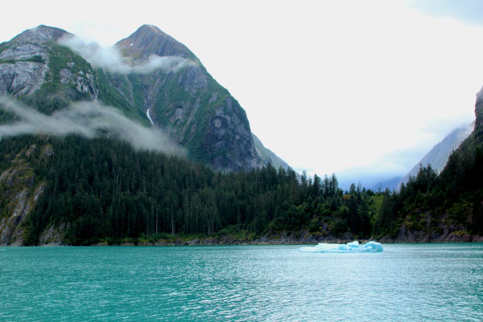 Tracy Arm Fjord Coastline and Iceberg