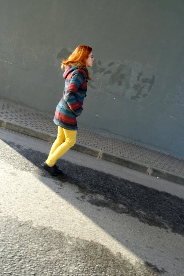 DSC03641