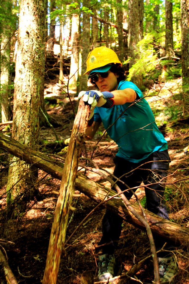 Restoration of trails at French's Dome