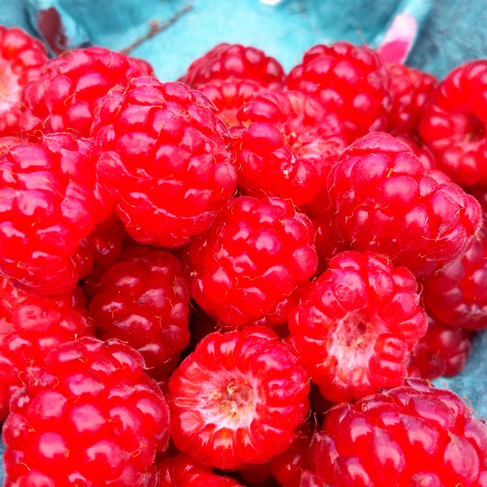 raspberries