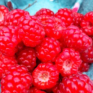 raspberries