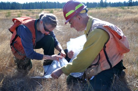 Sampling Grasses Before the Fire