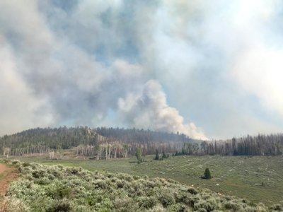 Prescribed burn at Manning Creek
