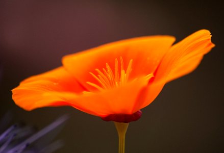 Rien que pour vos yeux...