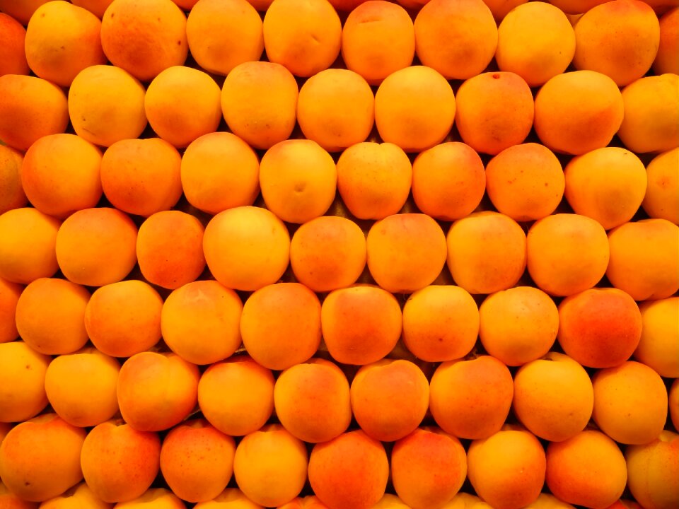 Apricots fruits market