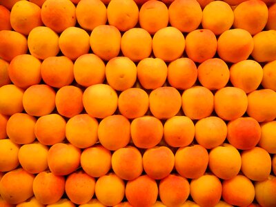 Apricots fruits market