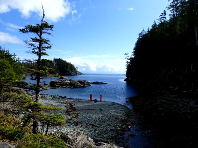Coastal Alaska Inlet