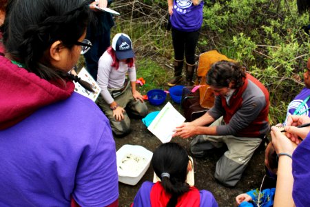 U.S. Forest Service Researcher Chrales Cristafulli presenting the aquatic creatures of the ponds at Mount St. Helens photo