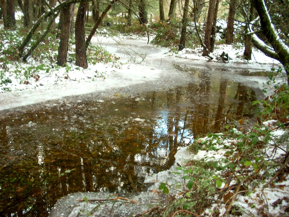 Navidad 2010 028