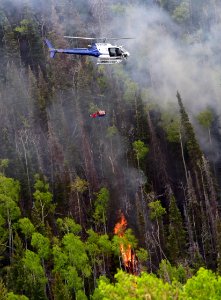 Prescribed burn at Manning Creek