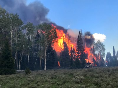 Prescribed burn at Manning Creek