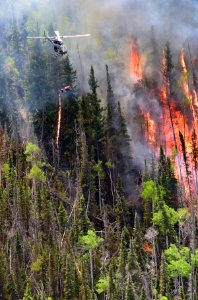 Manning Creek Ignition