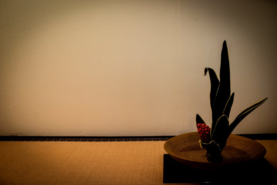 京都2014年12月