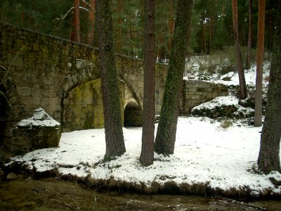 Navidad 2010 034