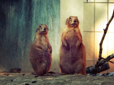 Zoo nuremberg germany