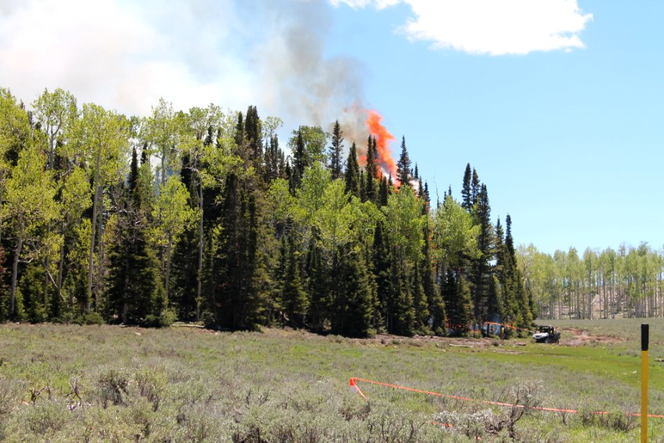 Prescribed burn at Manning Creek