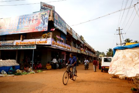 Gubbi 0017