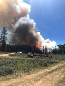 Prescribed burn at Manning Creek